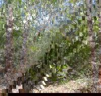 One Mile Creek shared path