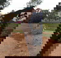 Ovens Riverside Path  Bullawah Cultural Trail