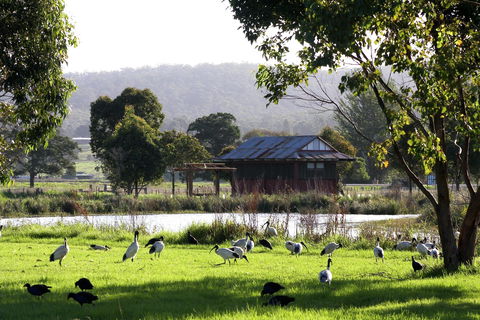Panboola Wetlands - Hotel Accommodation 1
