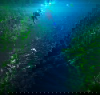 Piccaninnie Ponds Conservation Park - Hotel Accommodation