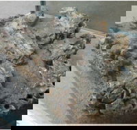 Pioneer Valley Museum - Hotel Accommodation