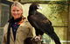 Raptor Domain - thumb 0