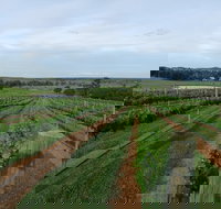 Razorback Cawdor Camden Park - Hotel Accommodation