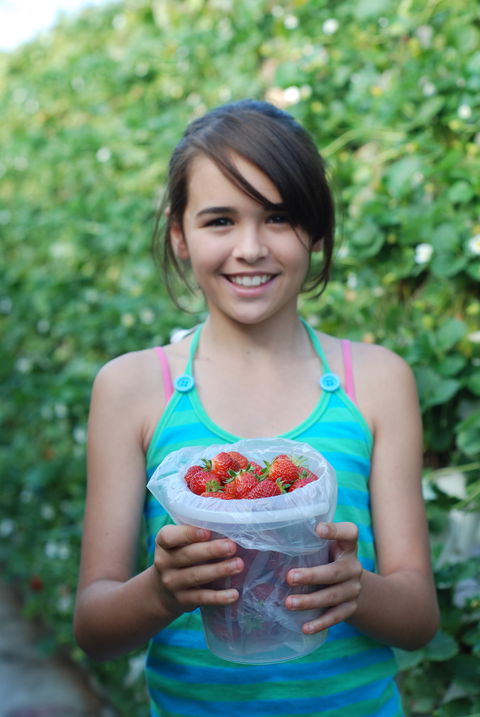 Ricardoes Tomatoes And Strawberries Farm, Port Macquarie - Hotel Accommodation 0