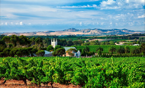 Seppeltsfield Road Barossa Valley - Hotel Accommodation 1