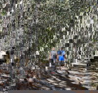 Six Mile Creek Bluff Lookout and Little White Rock Trails - Hotel Accommodation