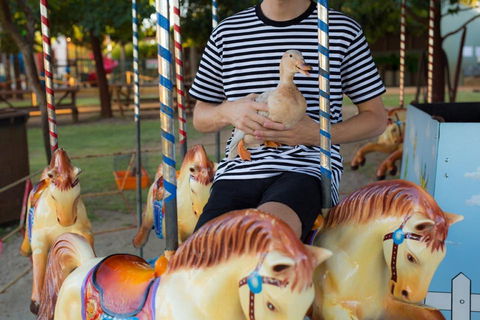 Swan Valley Cuddly Animal Farm - Hotel Accommodation 2