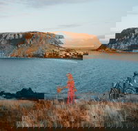 The Nut - Hotel Accommodation