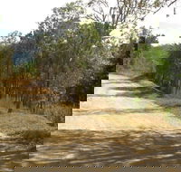 The Bloomfield Track