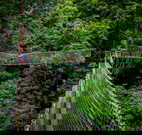 Thunderbird Park  - Tamborine Mountain Gold Coast Region