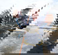 Tiddy Widdy Beach - Hotel Accommodation