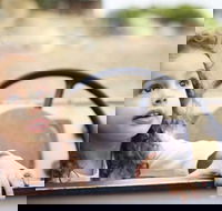 Toddler Thursdays at Werribee Open Range Zoo