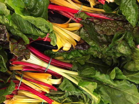 Tomerong Markets - Hotel Accommodation 1