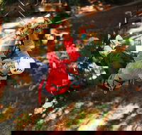 Trees Adventure - Glen Harrow Park - Hotel Accommodation