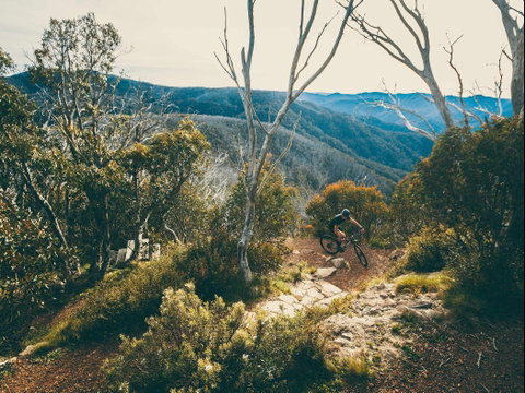 Australian Alpine Epic Mountain Bike Trail - Hotel Accommodation 1