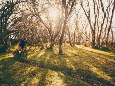 Australian Alpine Epic Mountain Bike Trail - Hotel Accommodation 2