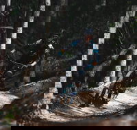 Boomerang Farm Bike Park