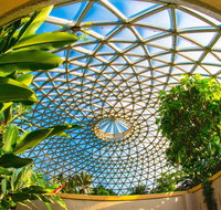 Brisbane Botanic Gardens Mount Coot-tha - Hotel Accommodation