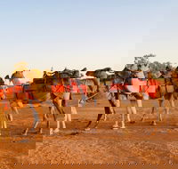 Broken Hill Camels - Hotel Accommodation