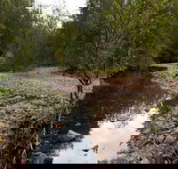 Budawang National Park - Hotel Accommodation