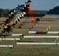 Camden Bicentennial Equestrian Park - Hotel Accommodation