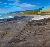 Cat and Kitten Beach