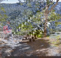 Caves circuit Lamington National Park - Hotel Accommodation