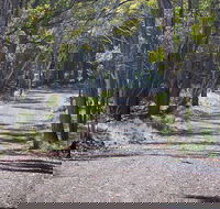 Coolah Tops National Park - Hotel Accommodation