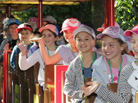 Currumbin Wildlife Sanctuary - Hotel Accommodation 1