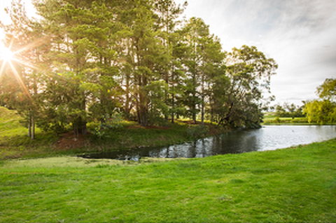 Curlewis Golf Club & The Range At Curlewis The Bellarine - Hotel Accommodation 1