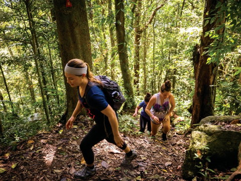 Devils Thumb (Manjal Jimalji) Trail - Hotel Accommodation 0