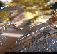 Evandale - Hotel Accommodation