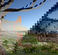 Evans Head Surf Shack