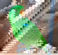 Eyre Reptile  Wildlife Park - Hotel Accommodation