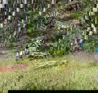 Federal Falls Walk - Hotel Accommodation