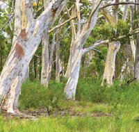 Freshwater track - Hotel Accommodation