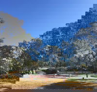 Grenfell Endemic Garden - Hotel Accommodation