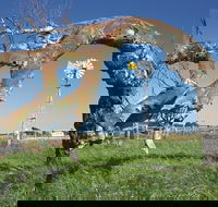 Greenough Leaning Trees - Hotel Accommodation