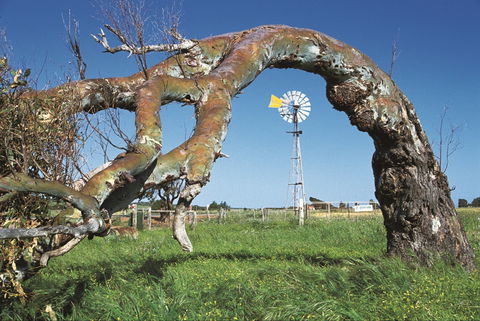 Greenough Leaning Trees - Hotel Accommodation 0