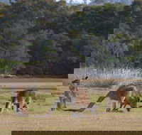 Great Nature Trail - Hotel Accommodation