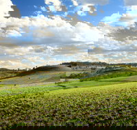 Hodgson Vale - Hotel Accommodation