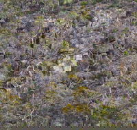 Horsnell Gully and Giles Conservation Parks