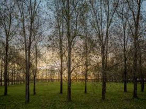 John Tucker Park - Hotel Accommodation 1