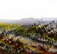 Mount View - Hotel Accommodation