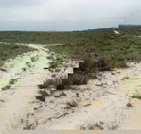 Ngarkat Conservation Park - Hotel Accommodation