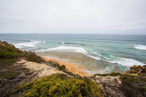 Ocean Grove Main Beach - Hotel Accommodation 1