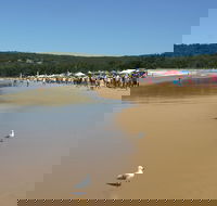 Ocean Beach Umina - Hotel Accommodation