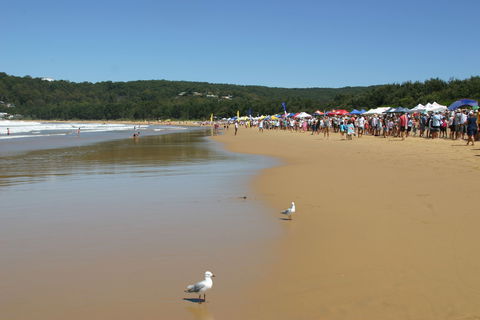 Ocean Beach Umina - Hotel Accommodation 0