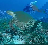 Pams Point - Hotel Accommodation