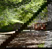 Pickering's Hut and Camping Area - Hotel Accommodation